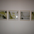 B Nauman