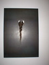 J Kounellis2