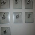 W Wegman