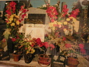 toussaint (40393 visits) toussaint