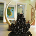 musee2