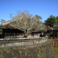 tombeaudetuduc