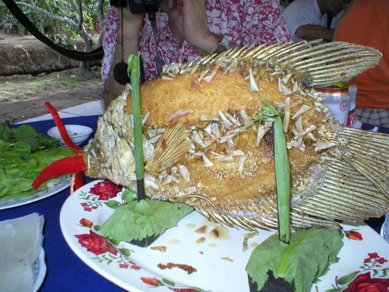 carpedelile.JPG